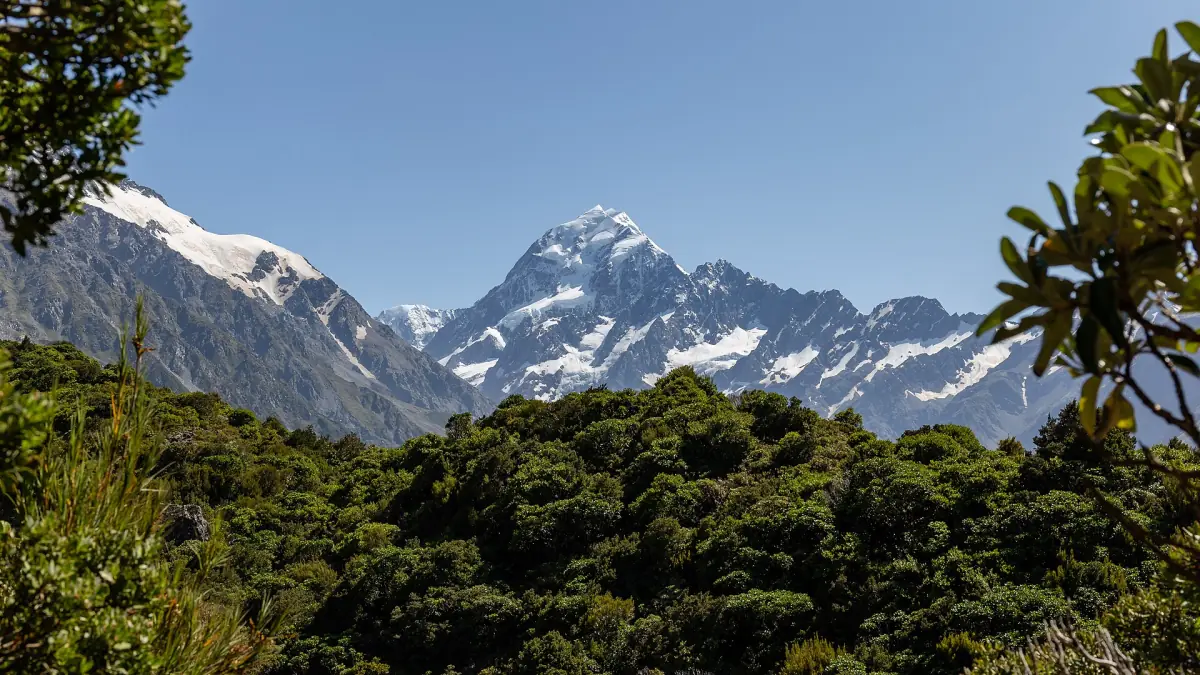 Aoraki/Mount Cook seen from the Sealy Tarns Track